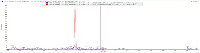 Chromatogram LLOQ Overlay